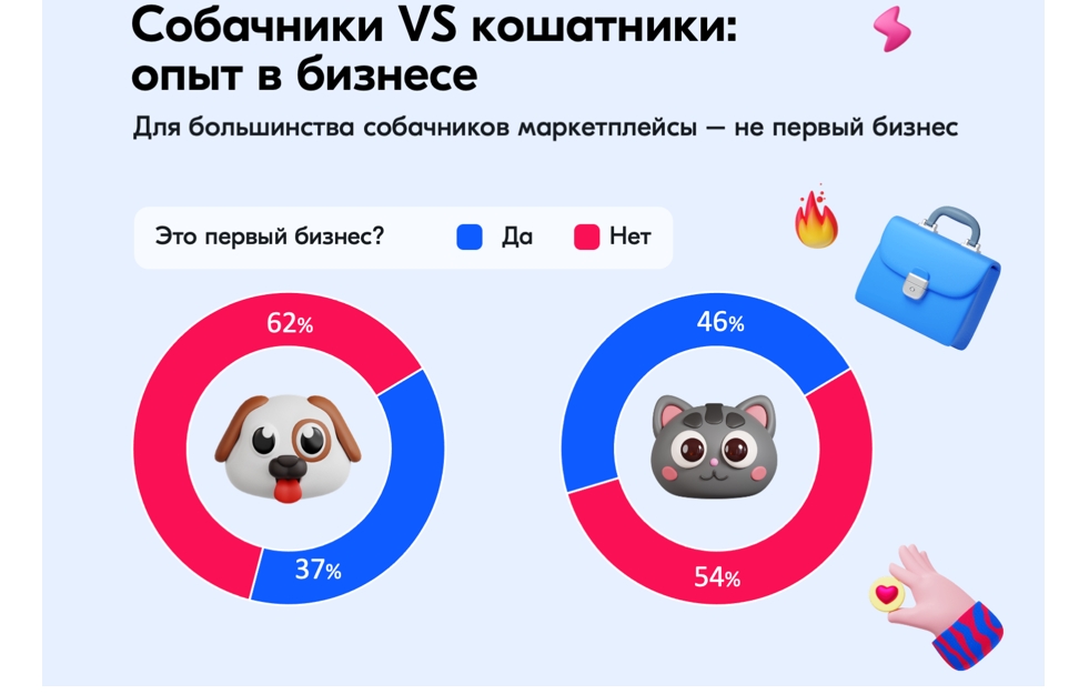 Предприниматели-кошатники больше верят в свой успех на маркетплейсах - Word_240903220542.jpeg