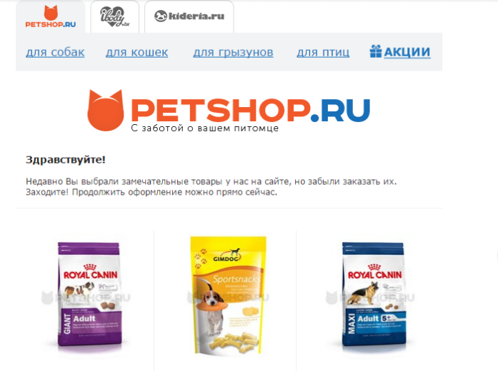 Р. Чигирев (REES46): Российские магазины зоотоваров — какую выгоду они упускают - 7