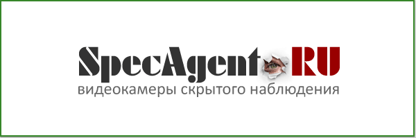 Оценка юзабилити интернет-магазина Specagent.ru - 1