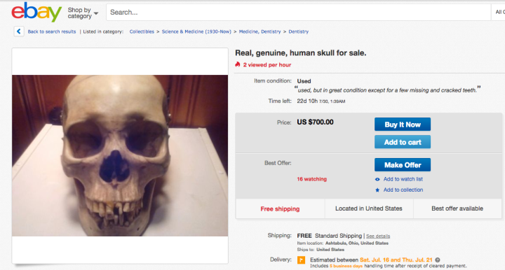 ebay skull